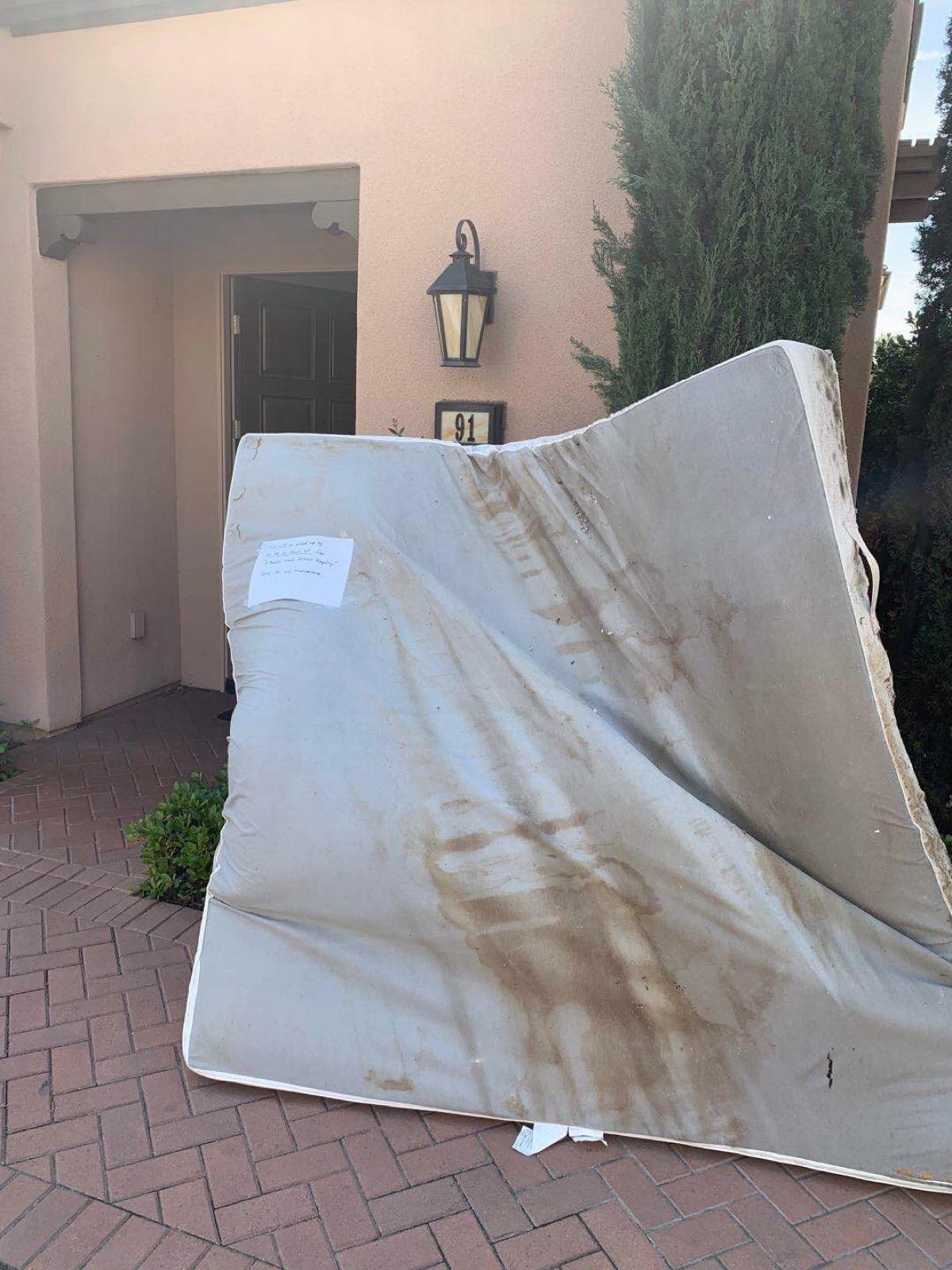 Mattress with mold growth on the bottom from floor placement